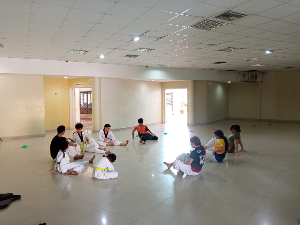 Taekwondo training